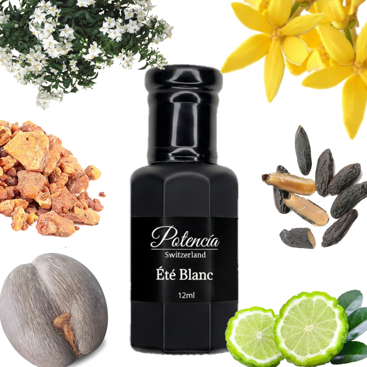 Potencía Été Blanc 12ml (Unisex)